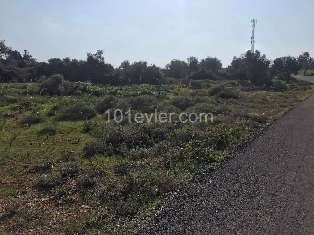 Sipahi-Tanyel Site Over 8 Acres of Land with Mountain and Sea Views ** 