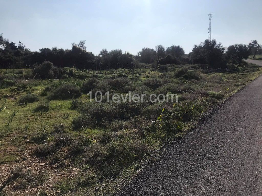 Sipahi-Tanyel Site Over 8 Acres of Land with Mountain and Sea Views ** 