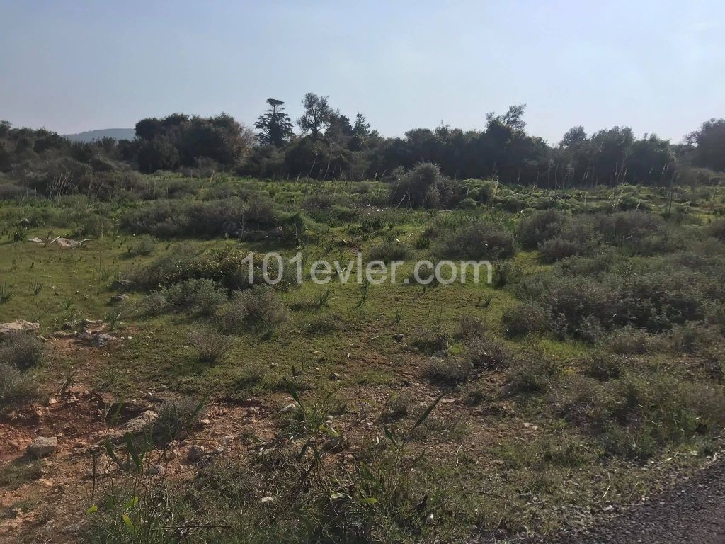 Sipahi-Tanyel Site Over 8 Acres of Land with Mountain and Sea Views ** 