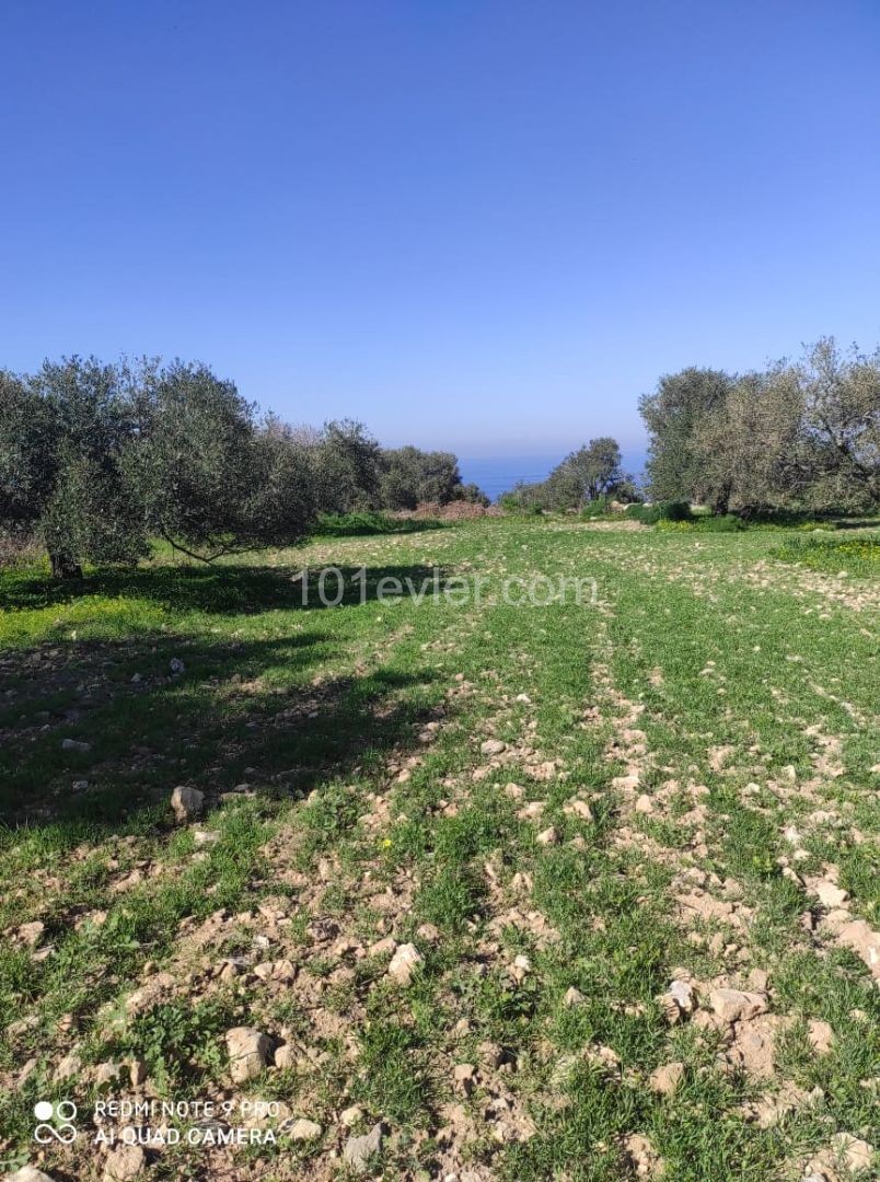 1 Acre 1 house 1200 square feet of Land for Sale in SIPAHI ** 