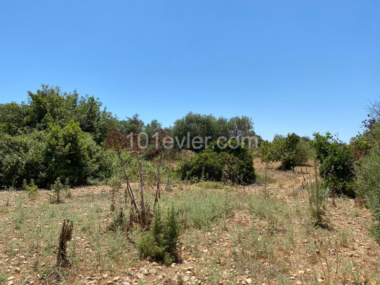 4 Acres of 1 house land for sale in Sipahi! ** 