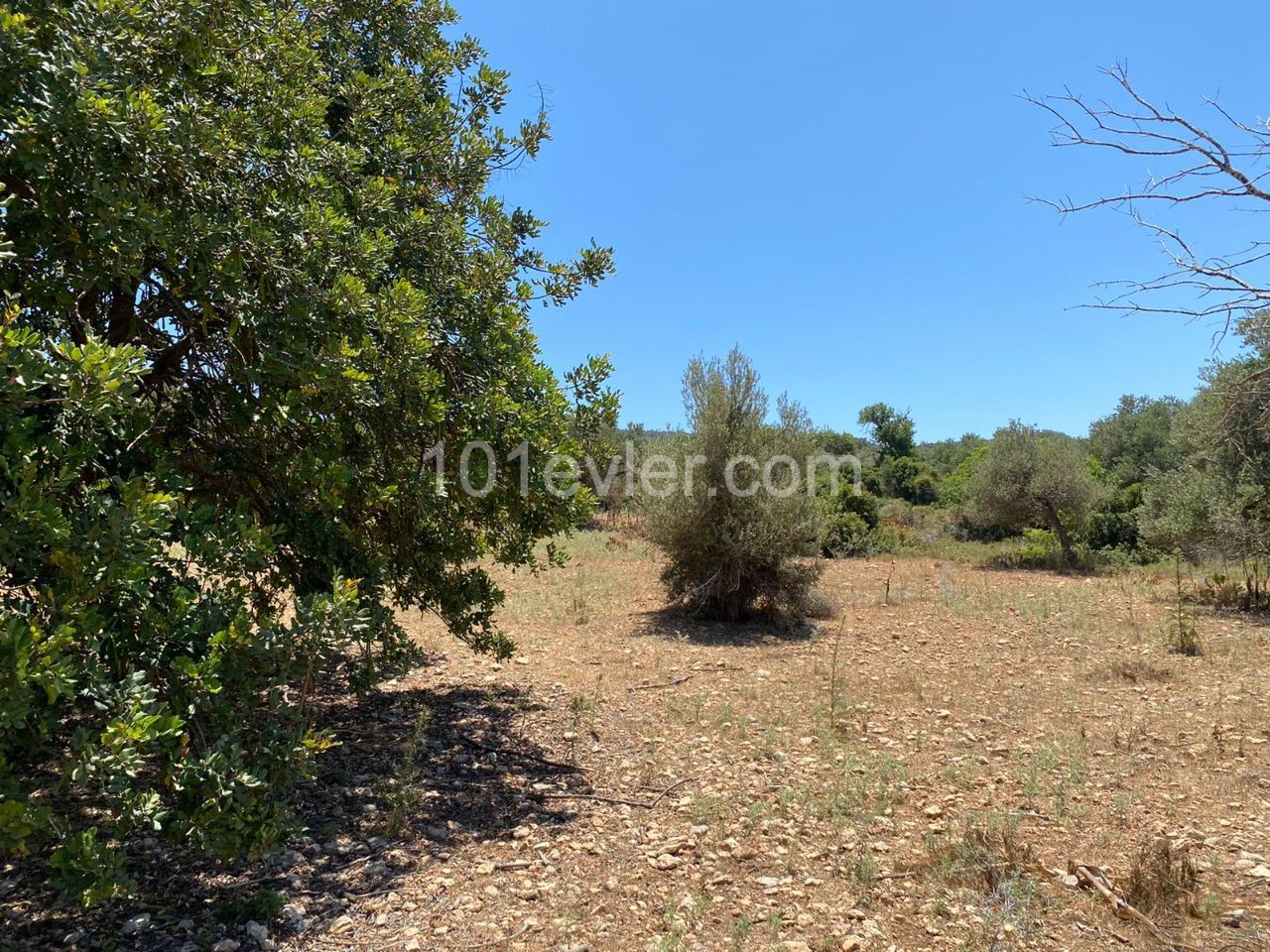 4 Acres of 1 house land for sale in Sipahi! ** 