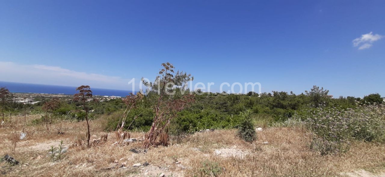 10 Acres of Land for Sale in Yenierenkoy ** 