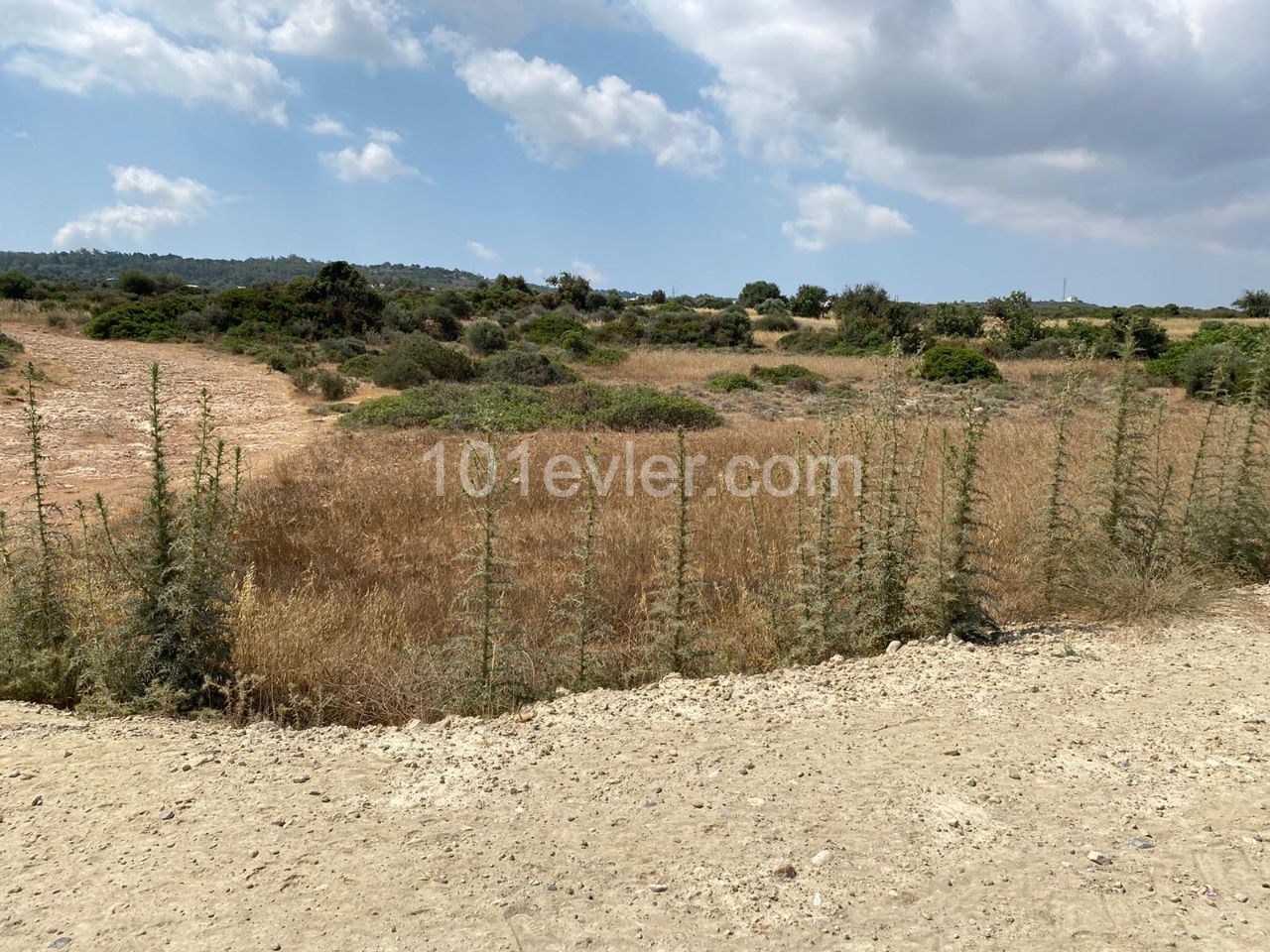 3.5 Acres of Land for Sale in Yeni Erenköy! ** 