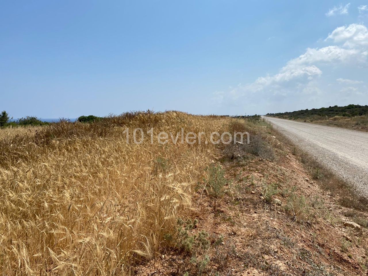 3 Hektar Land zum Verkauf in der neuen Erenköy! ** 