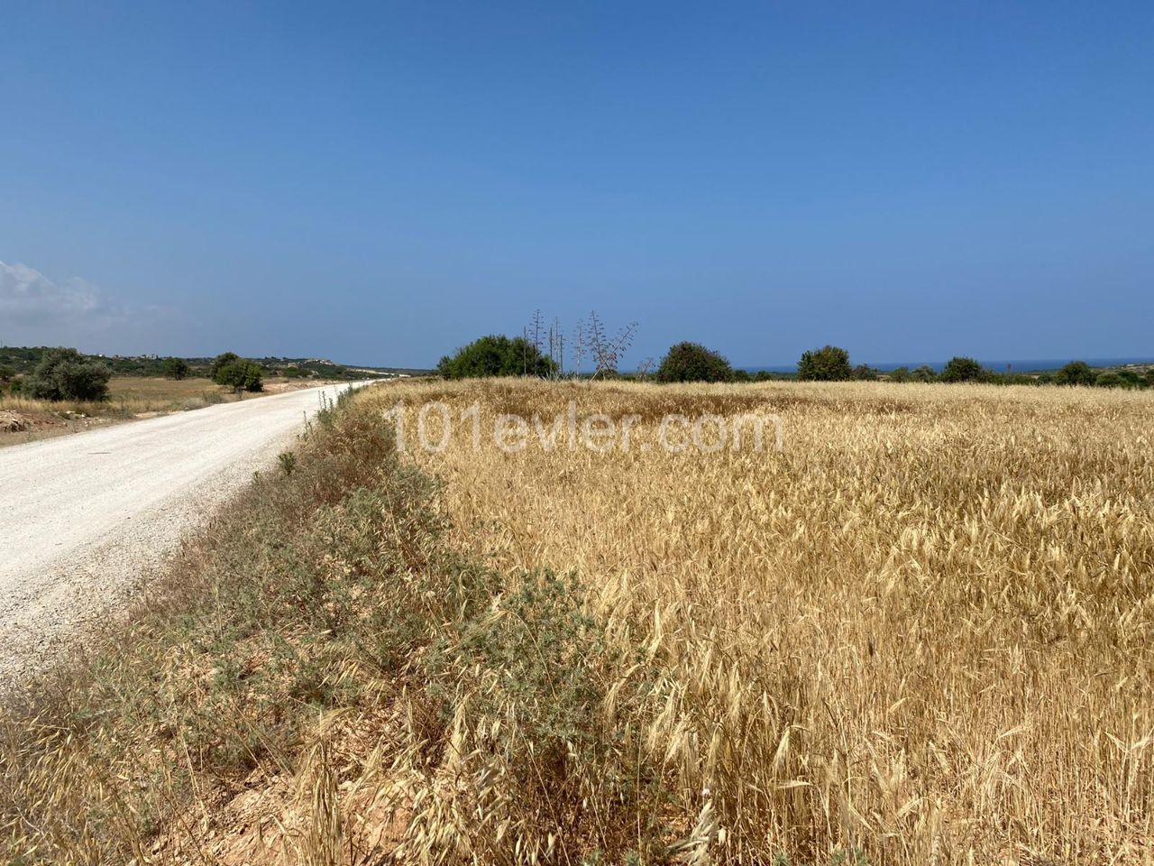 3 Acres of Land for Sale in Yeni Erenköy! ** 