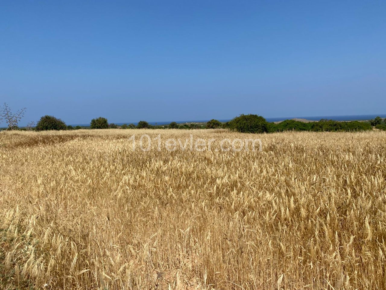 3 Acres of Land for Sale in Yeni Erenköy! ** 