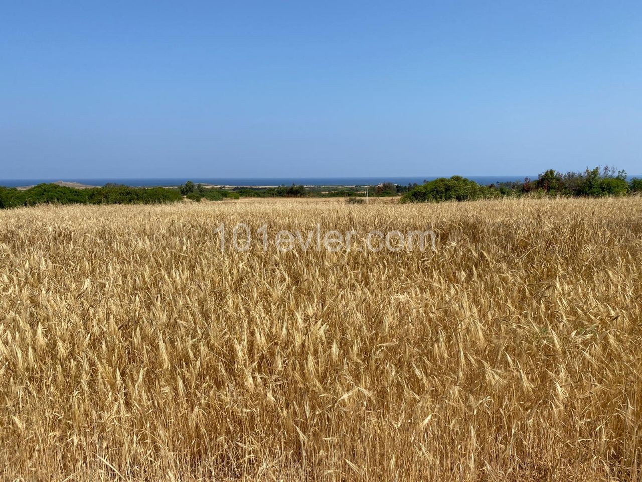 3 Hektar Land zum Verkauf in der neuen Erenköy! ** 