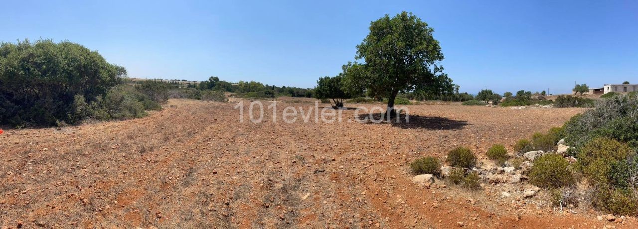 1 Acre of Land for Sale in Yenierenkoy ** 