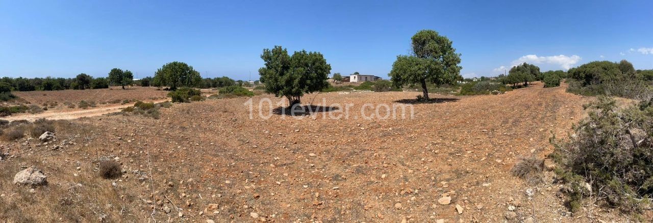 1 Acre of Land for Sale in Yenierenkoy ** 