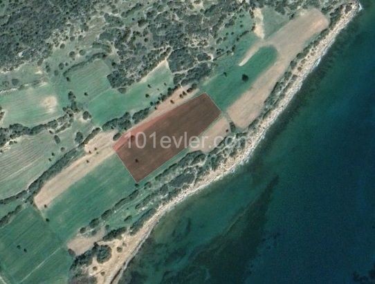 13 DONUM + 2 EVLEK LAND FOR SALE IN KALEBURNU!!