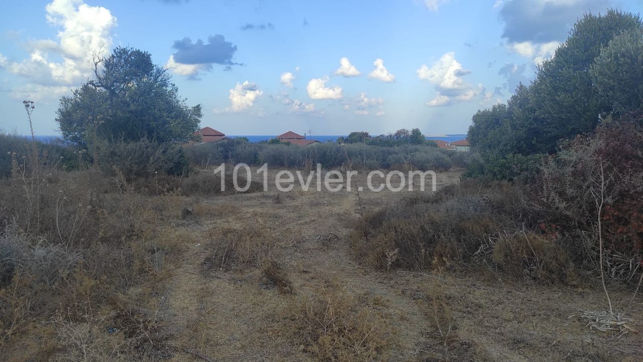 14 Hektar Land Direkt Am Meer In Kyrenia-Kayalar ** 