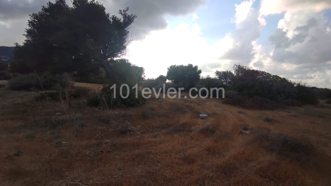 14 Hektar Land Direkt Am Meer In Kyrenia-Kayalar ** 