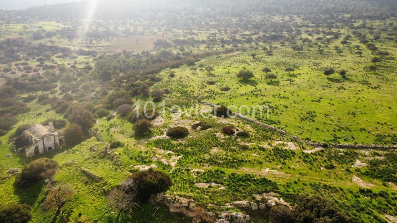 9 هکتار از 3 زمین اولک برای فروش در گیرنه باهچلی ** 