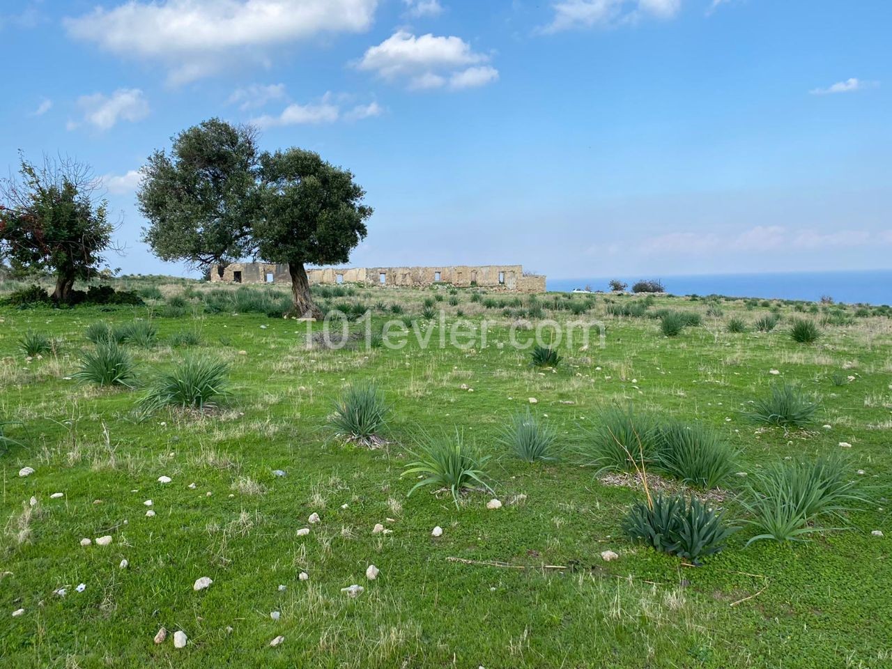 9 Acres of 3 Houses for Sale in Girne Garden ** 