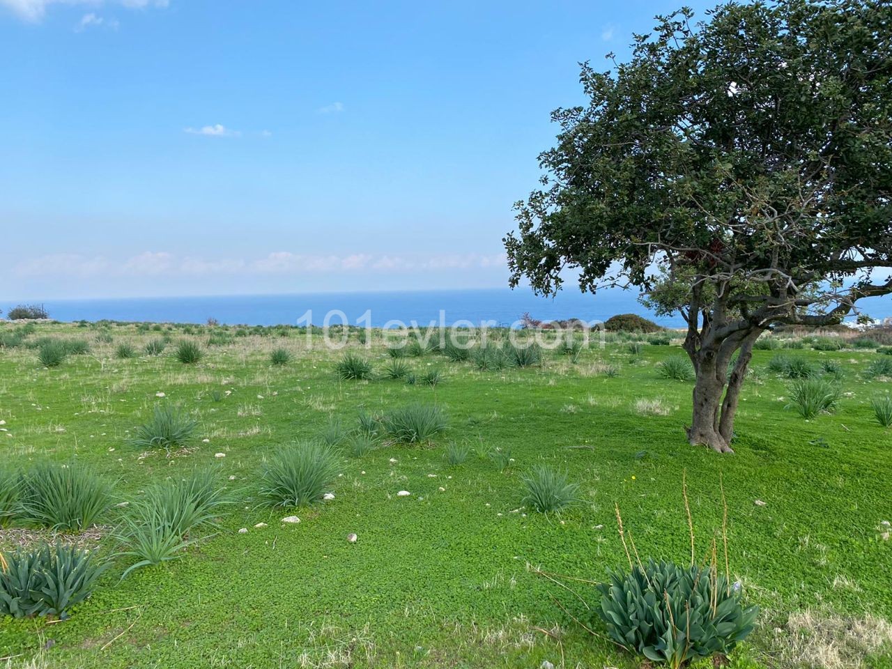 Girne Bahçeli`de Satılık 9 Dönüm 3 Evlek Arazi