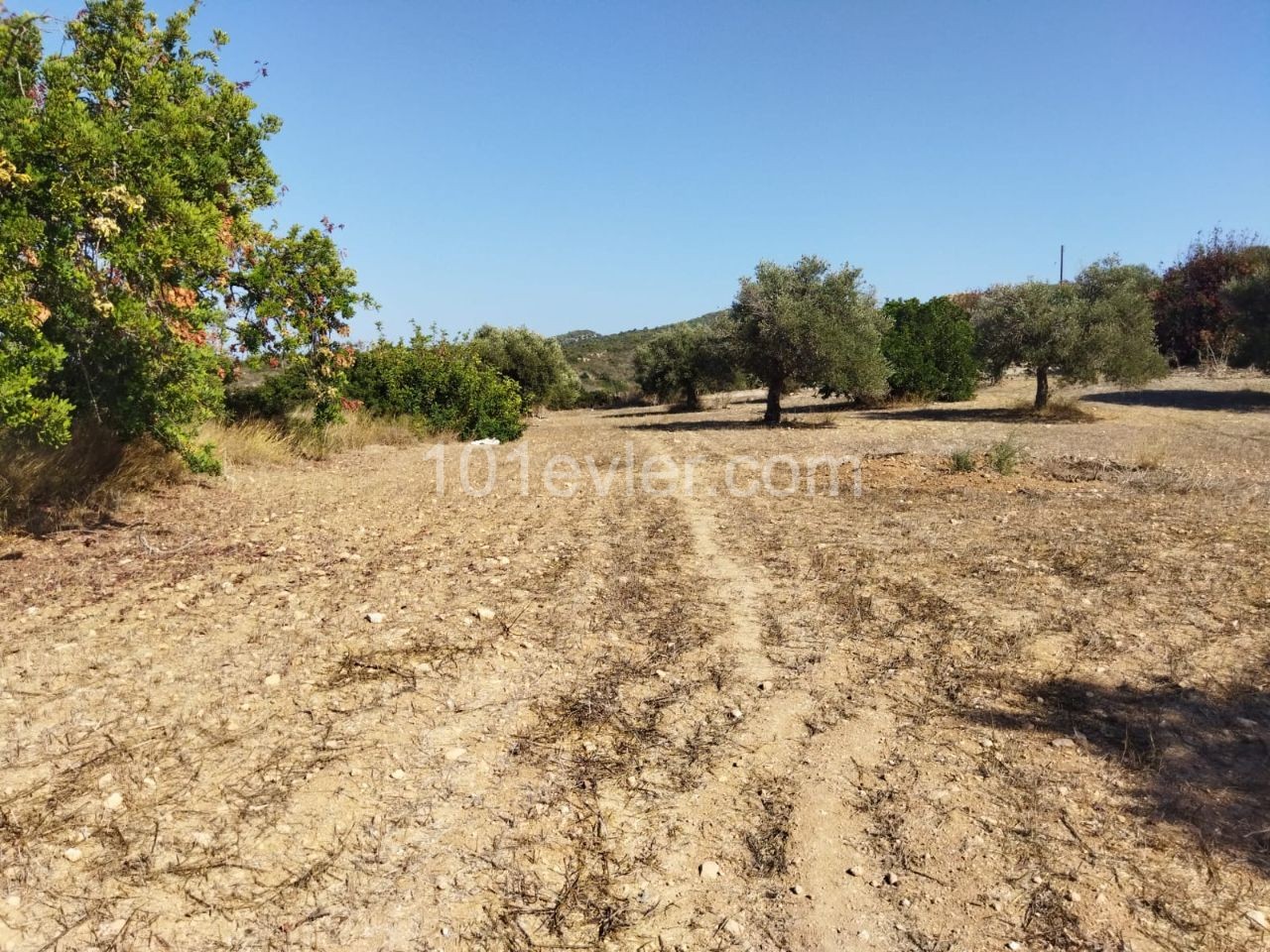 Residential Zoned Plot For Sale in Sipahi, Iskele