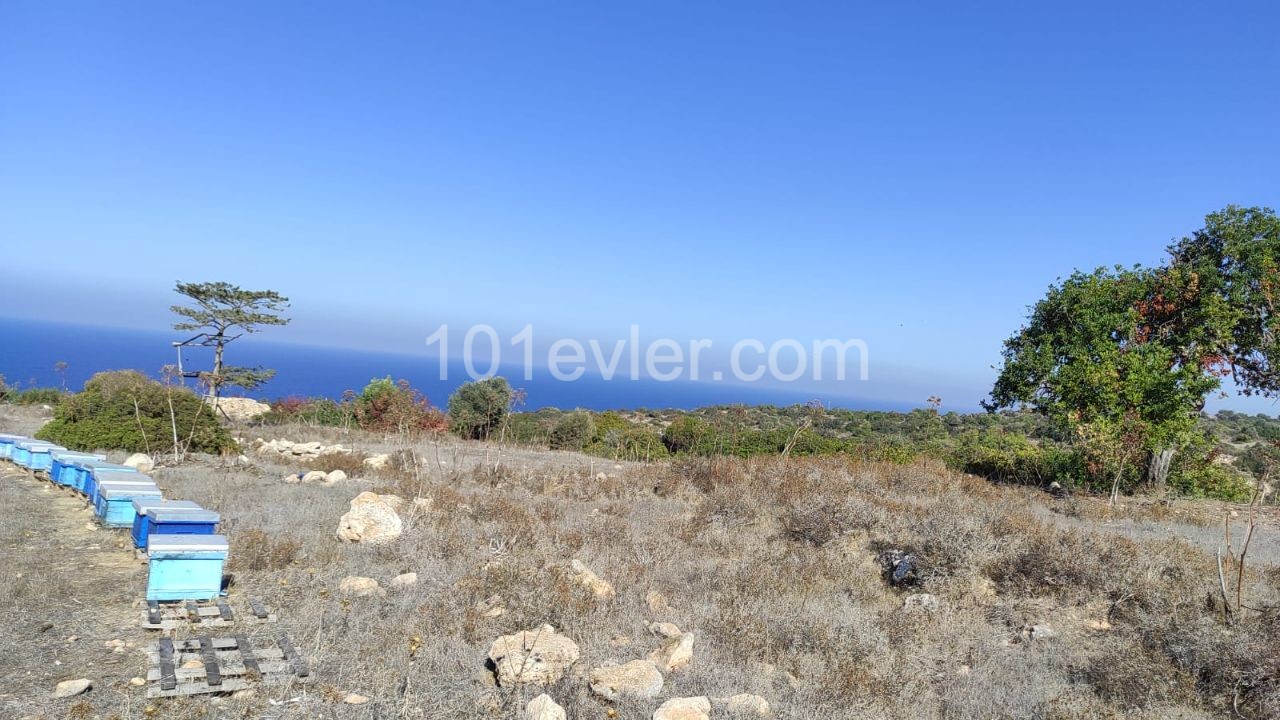 Residential Zoned Plot For Sale in Sipahi, Iskele