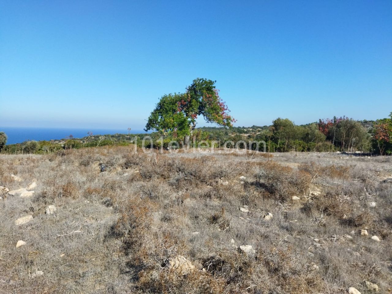 Residential Zoned Plot For Sale in Sipahi, Iskele