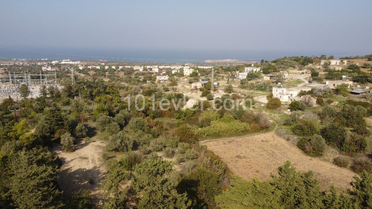 5 Decares of 3 Houses of Land for Sale in Sipahi! ** 