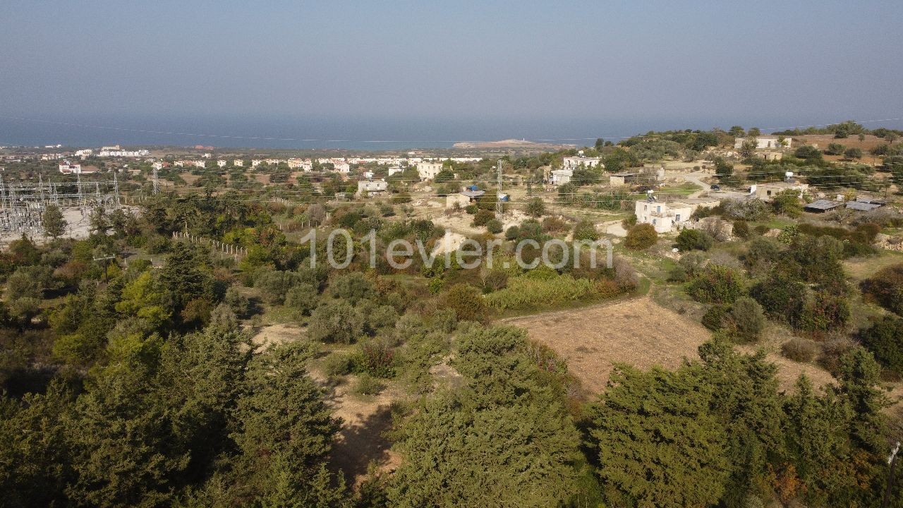 5 Decares of 3 Houses of Land for Sale in Sipahi! ** 