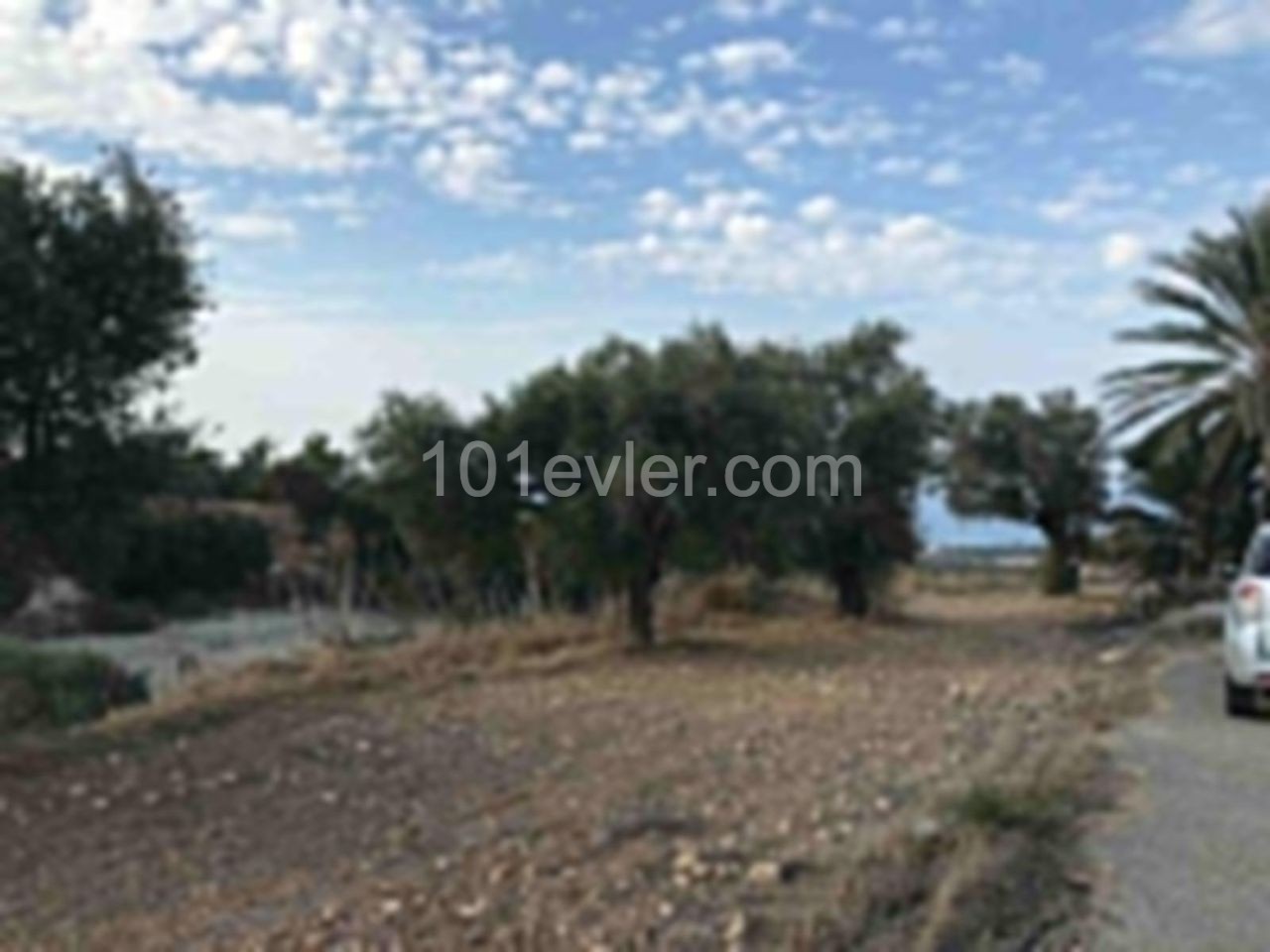 3 Old Houses with Sea View in Sipahi, 6 Decares of Land for Sale, 1 House ** 