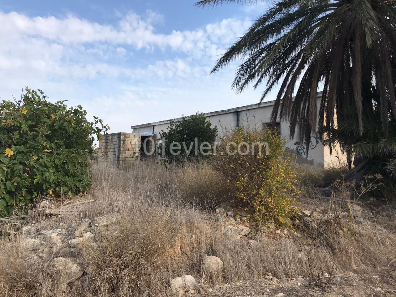 3 Old Houses with Sea View in Sipahi, 6 Decares of Land for Sale, 1 House ** 