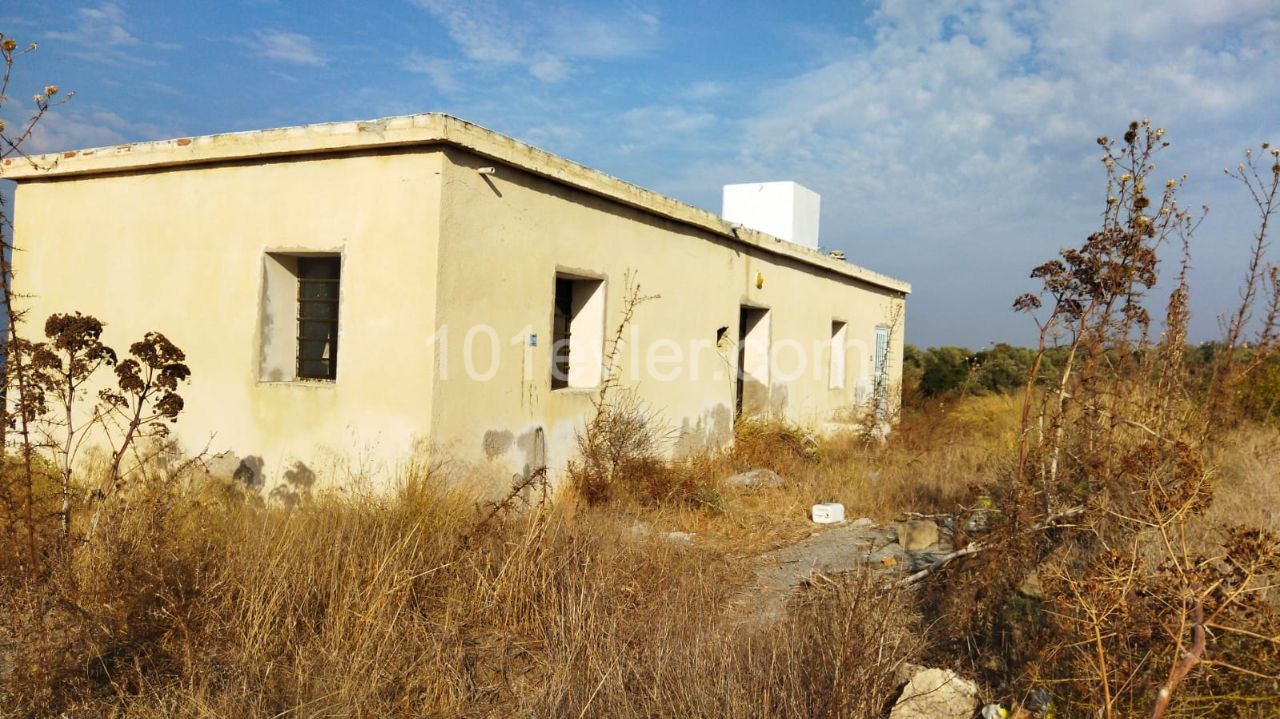 3 Old Houses with Sea View in Sipahi, 6 Decares of Land for Sale, 1 House ** 