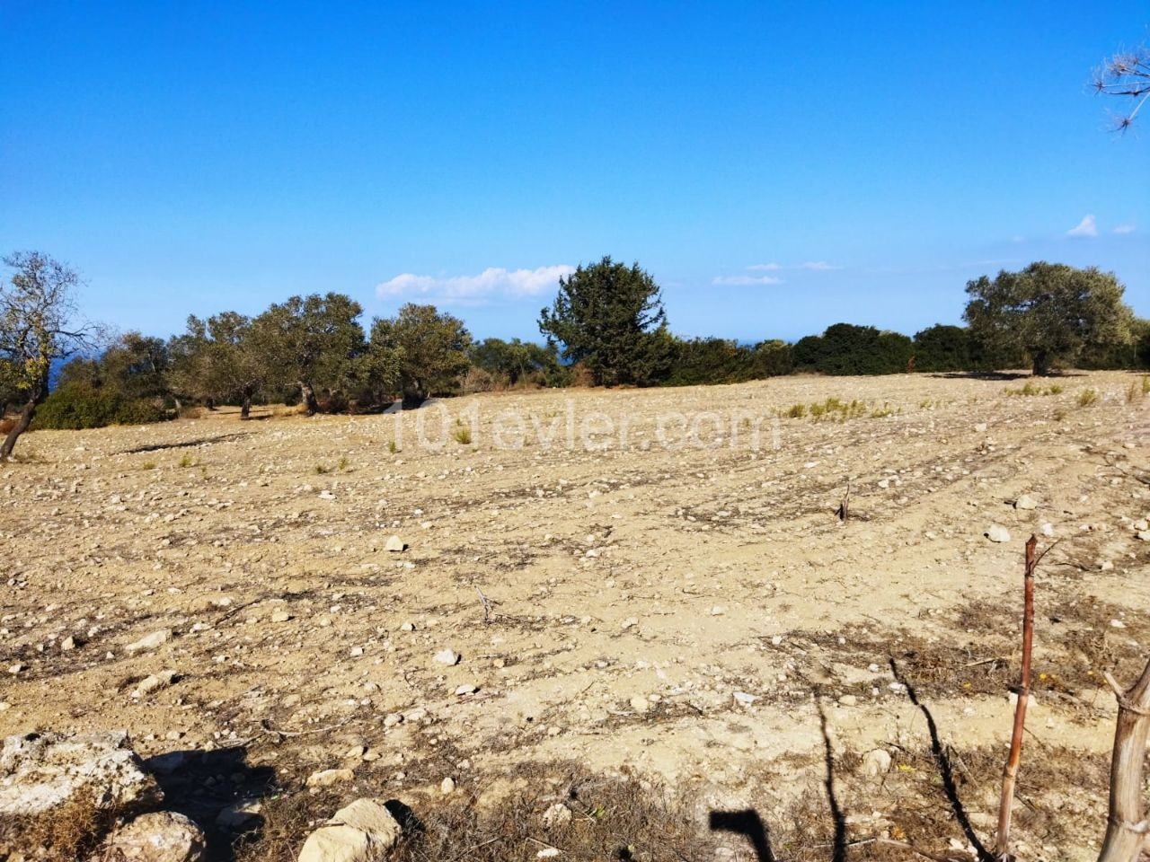 Sipahi`de Deniz Manzaralı, 2 Dönüm Satılık Arazi