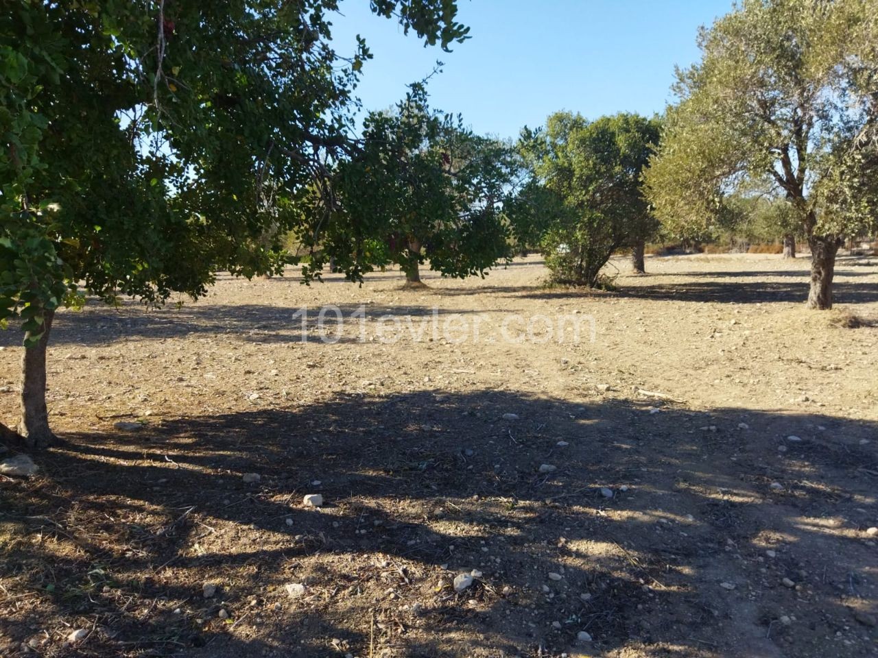 2 Acres of Land for Sale with Sea View in Sipahi ** 