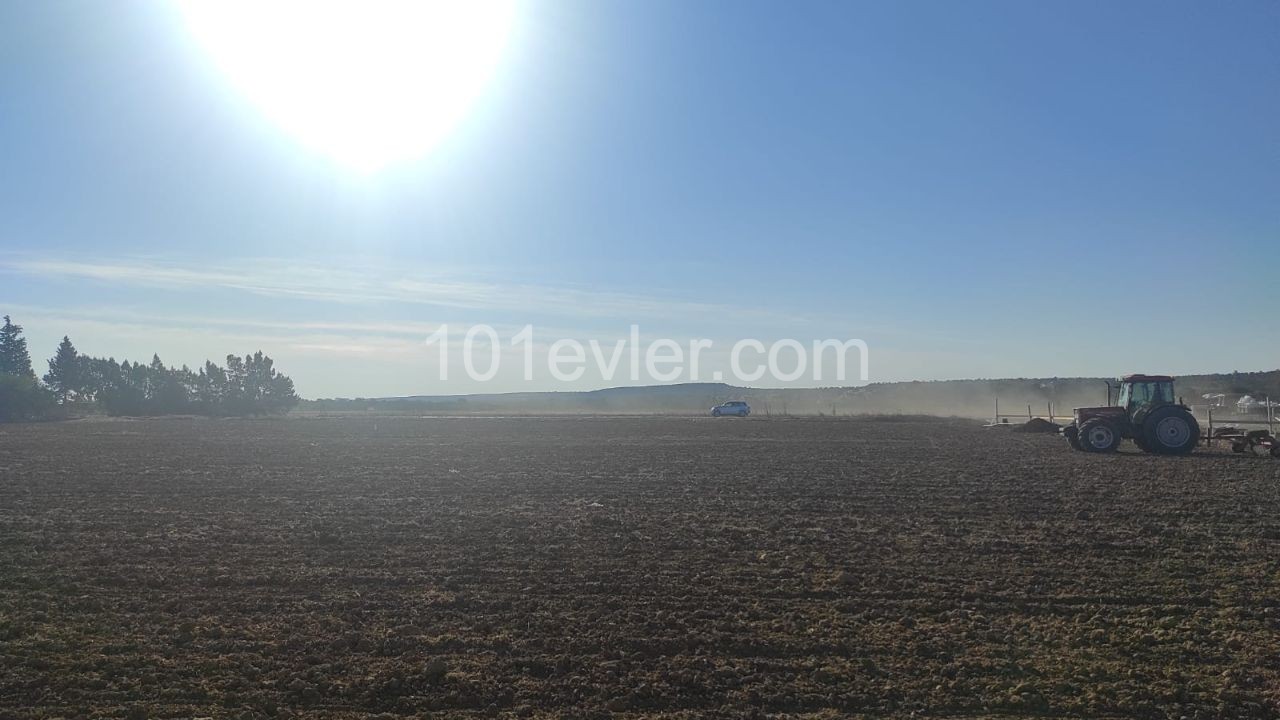 Land for sale in Kumali !!!!