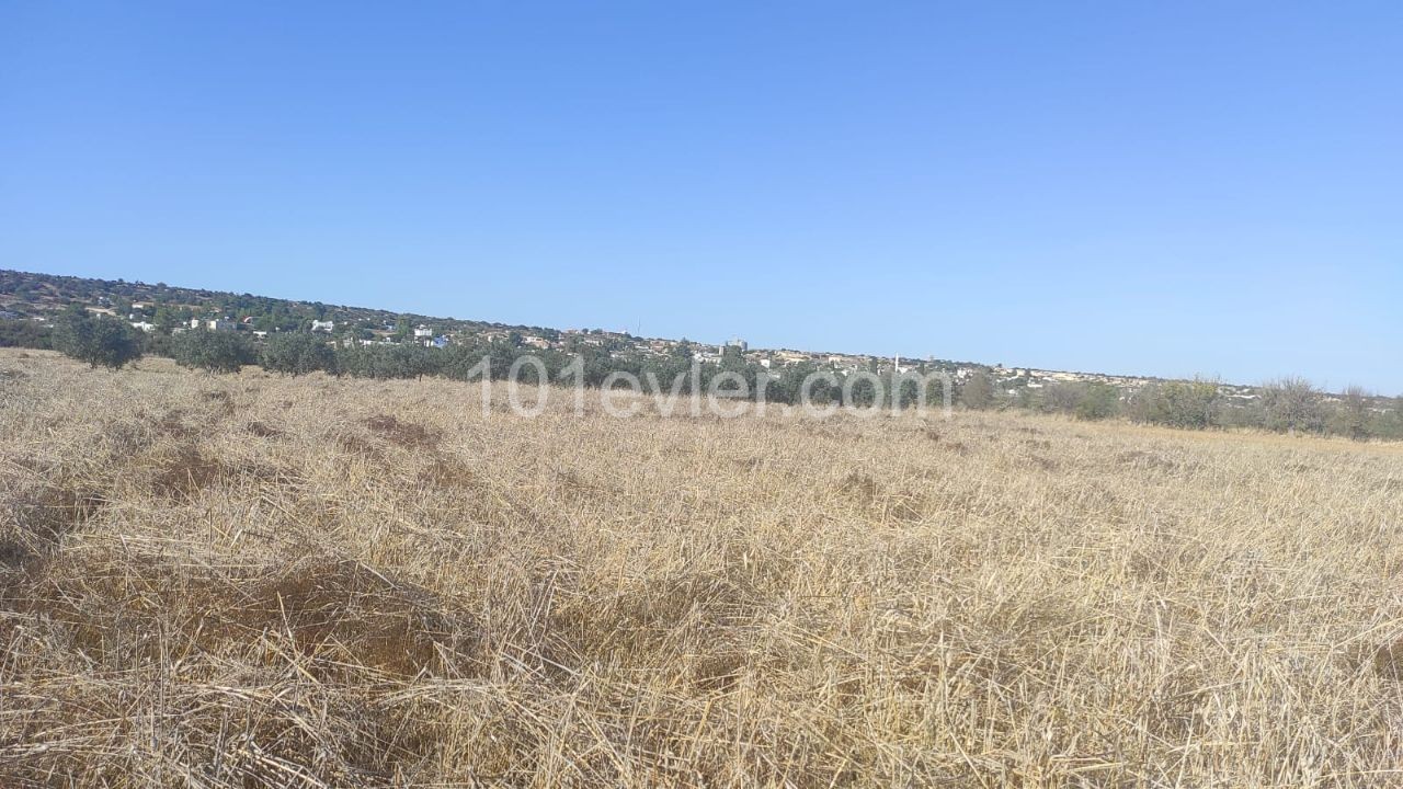 Land for sale in Kumali !!!!