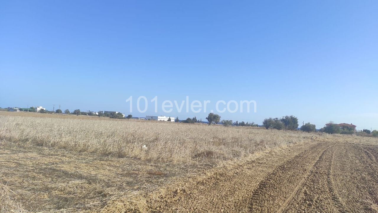 Land for sale in Kumali !!!!