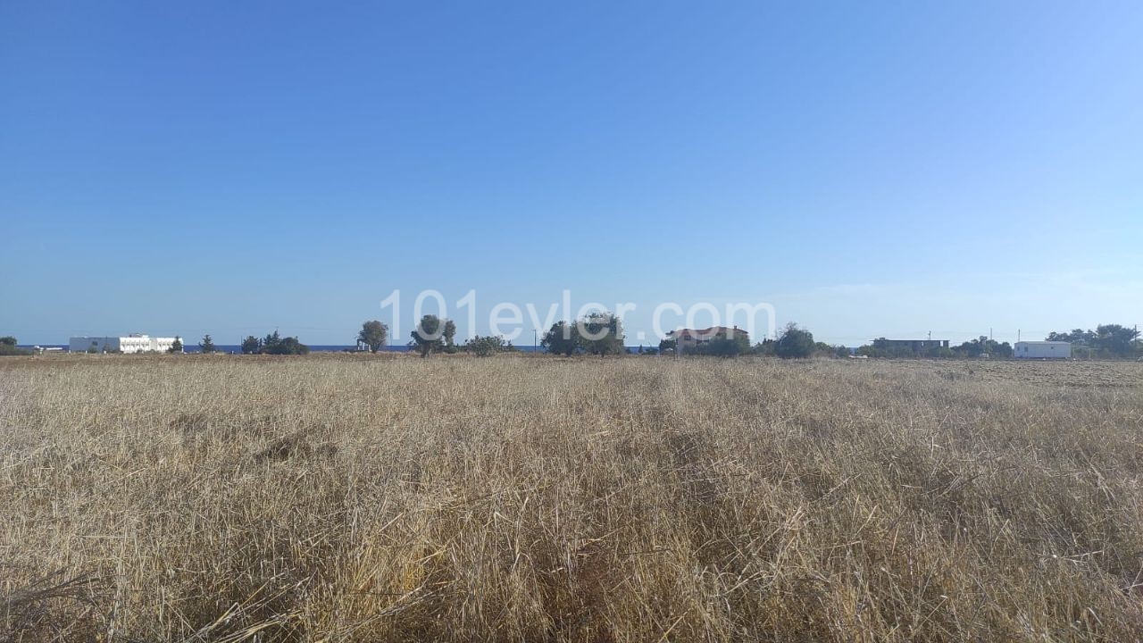 Land for sale in Kumali !!!!