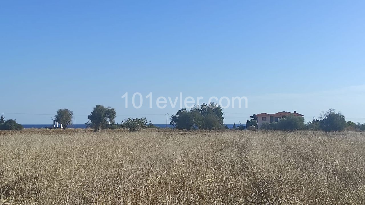 Land for sale in Kumali !!!!