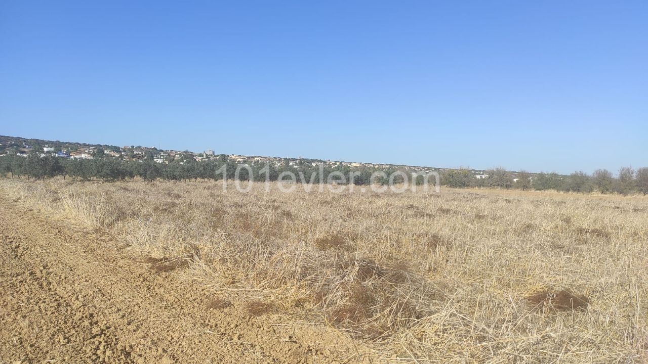 Land for sale in Kumali !!!!