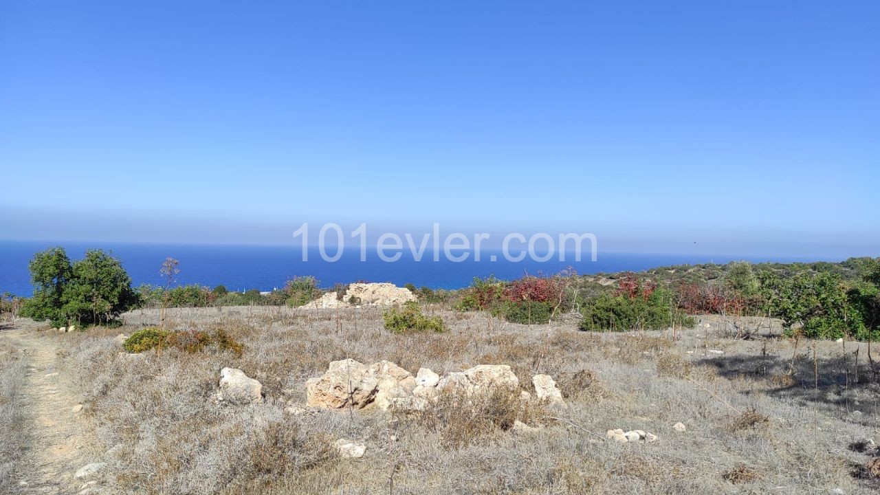 Land for sale with sea view in Sipahi!