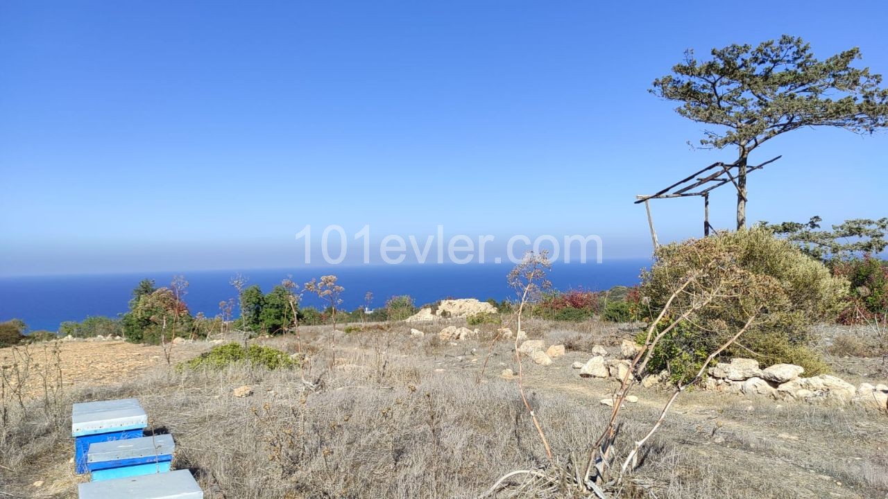 Land for sale with sea view in Sipahi!