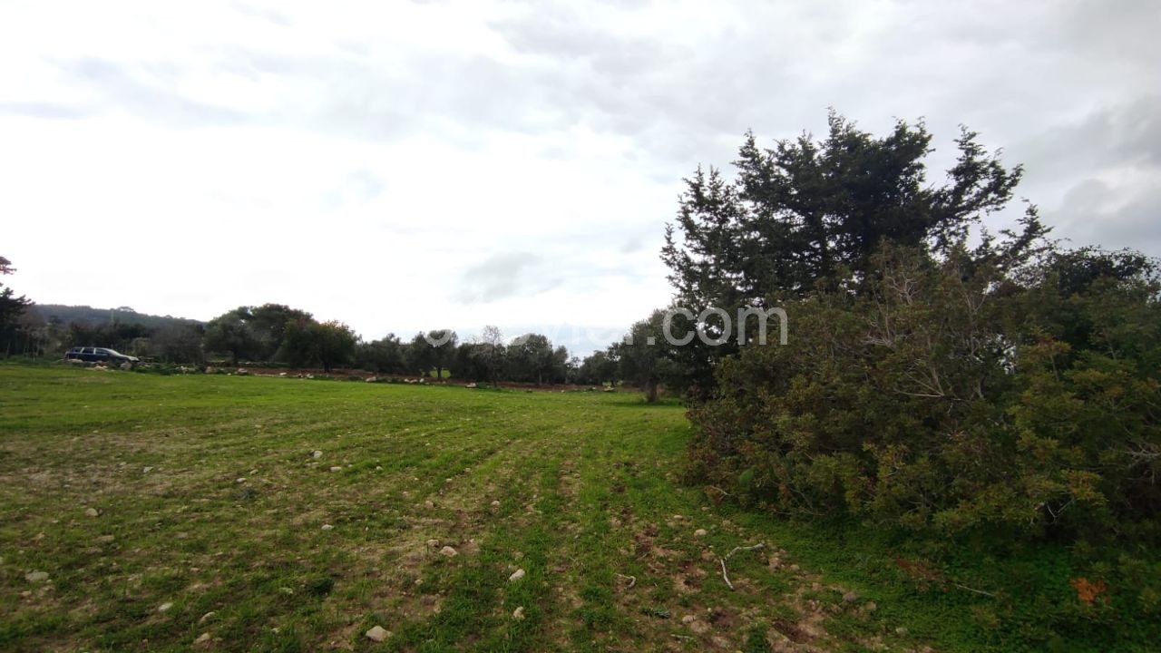 Land for sale with sea view in Sipahi!