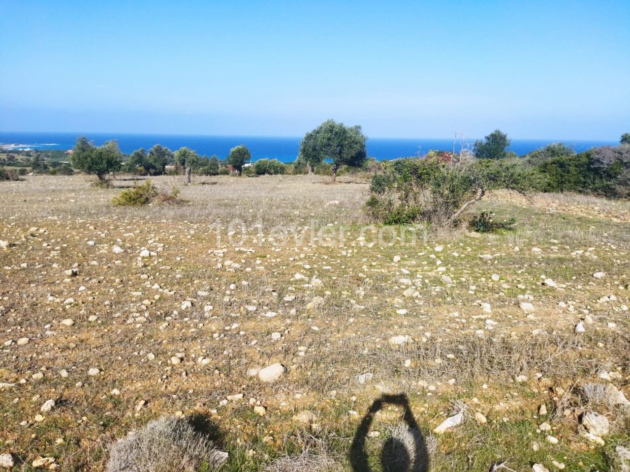 10 Acres of 3 Evlek Land for Sale in Sipahi ** 