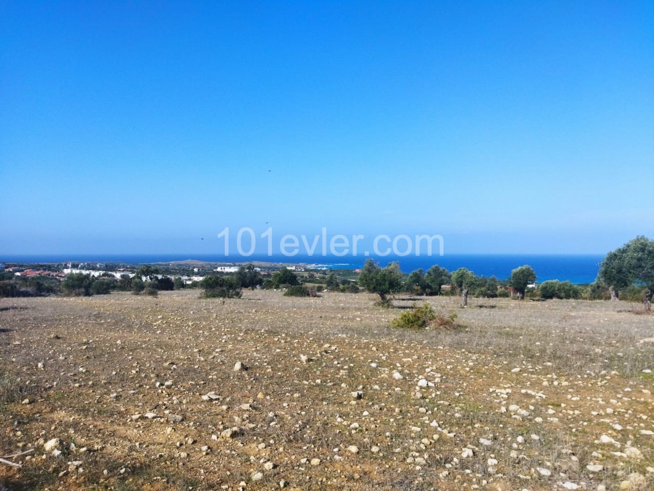 10 Acres of 3 Evlek Land for Sale in Sipahi ** 