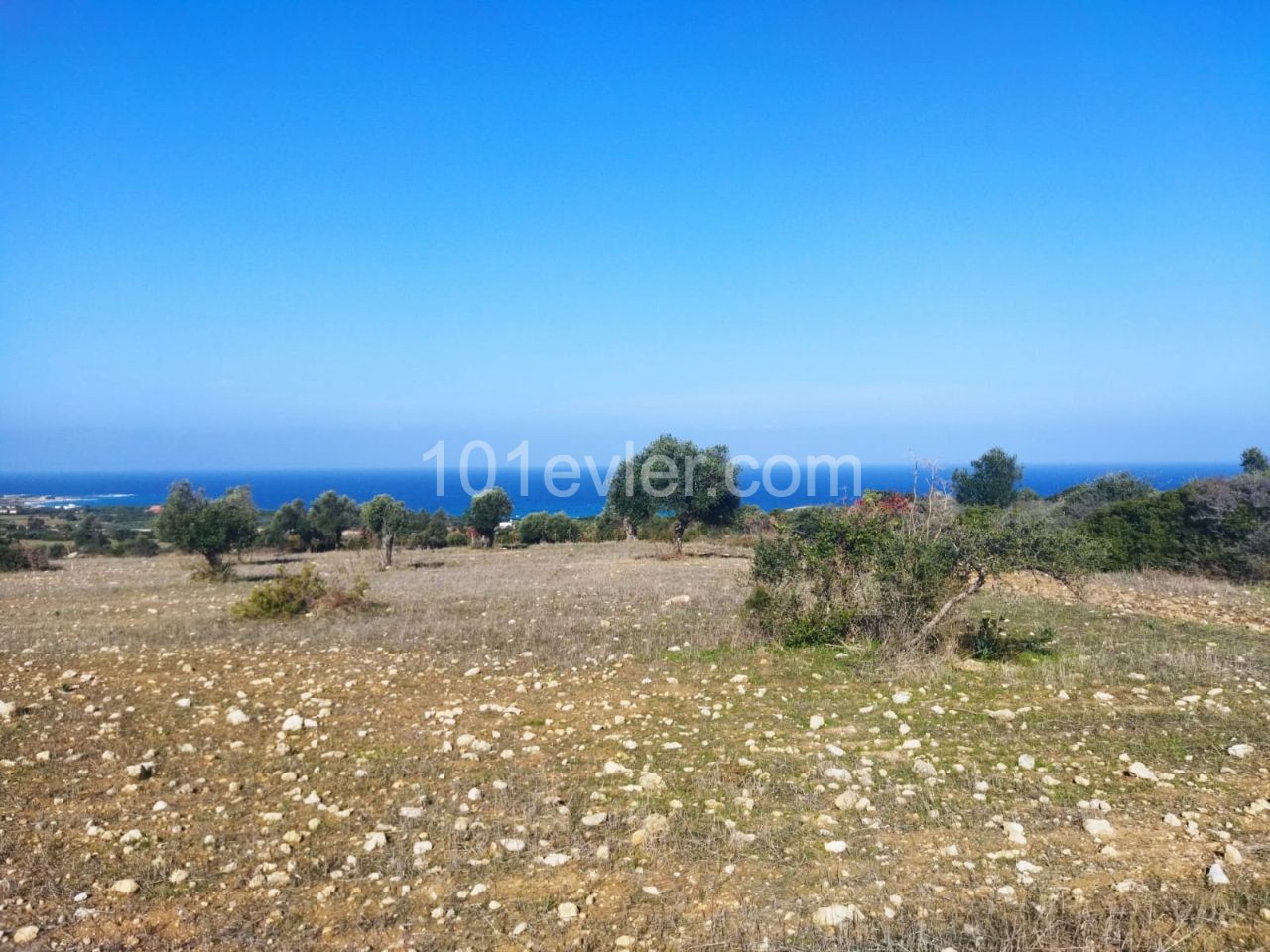 10 Acres of 3 Evlek Land for Sale in Sipahi ** 