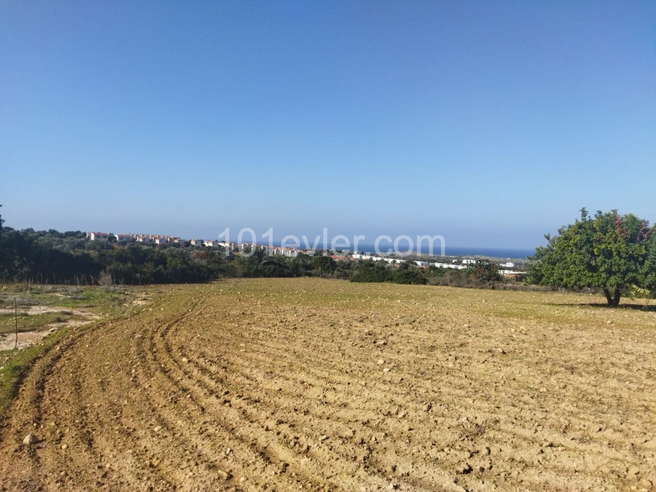 Residential Zoned Plot For Sale in Sipahi, Iskele