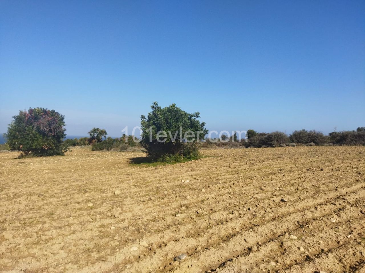 Residential Zoned Plot For Sale in Sipahi, Iskele