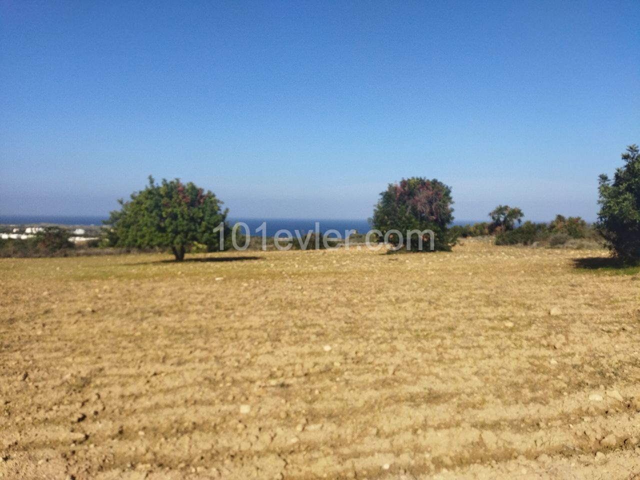 6 acres of land for sale in 1 house in Sipahi ** 