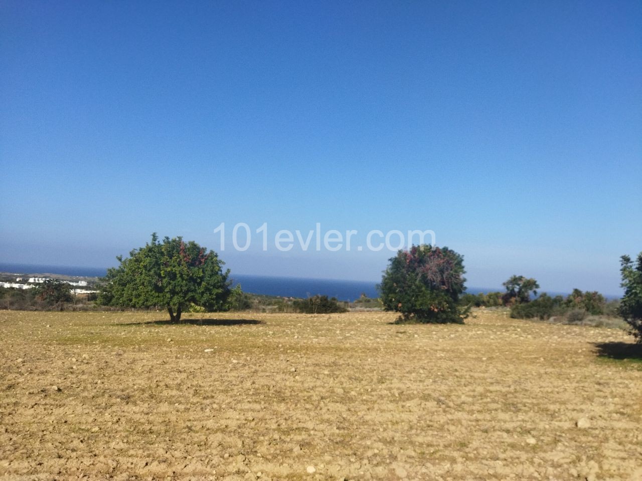 6 acres of land for sale in 1 house in Sipahi ** 