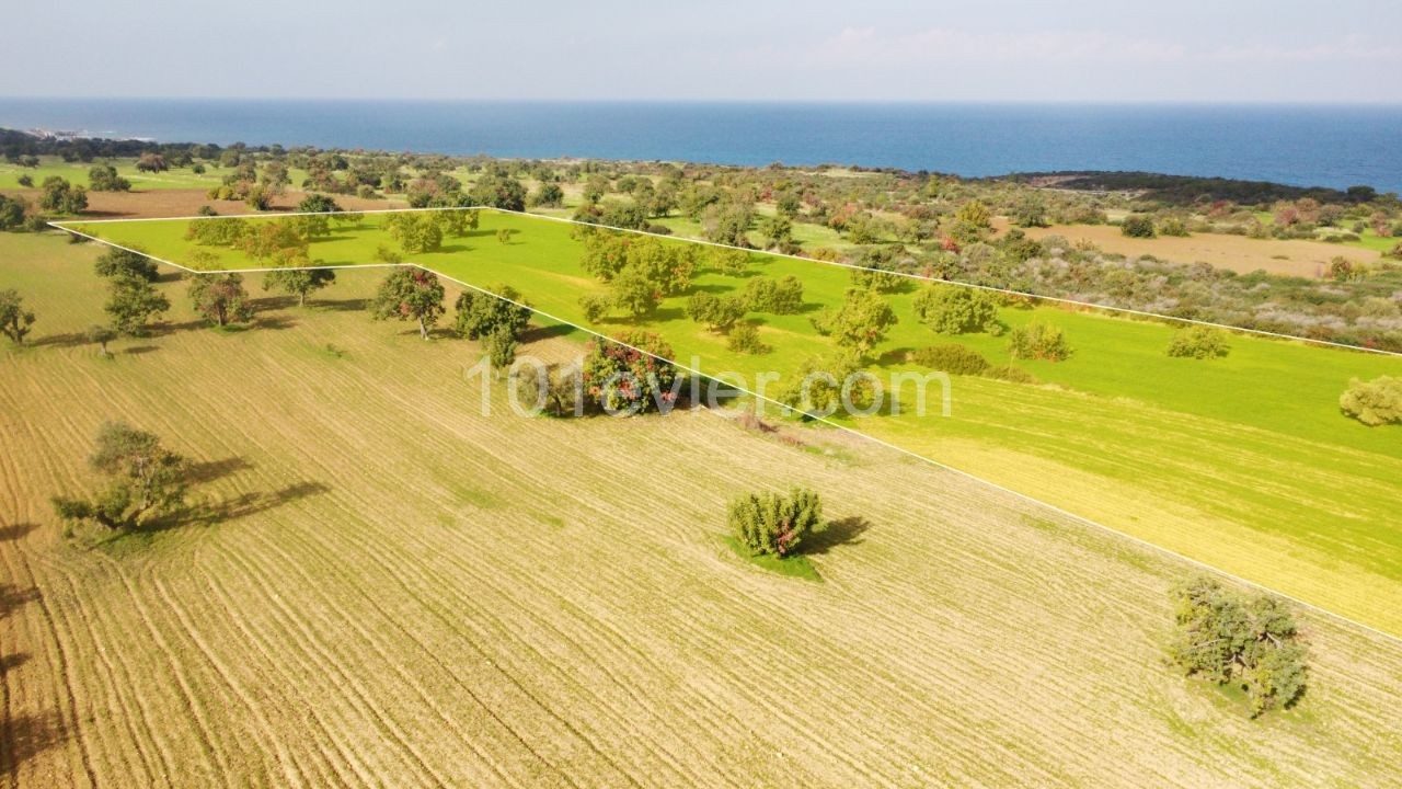 9 Decares of 3 Houses for Sale in Mersinlik 1.996 Square Foot Land ** 