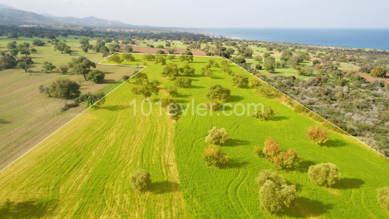 9 Decares of 3 Houses for Sale in Mersinlik 1.996 Square Foot Land ** 