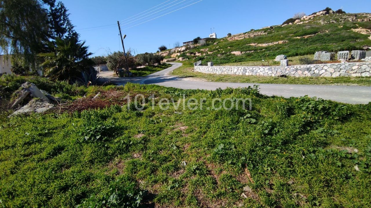 1 Decare of Land for Sale in Kumyalı ** 