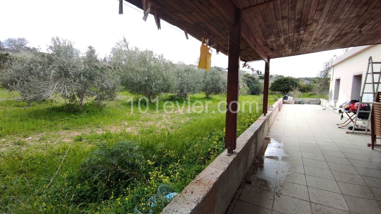 Sea View House for Sale in Sipahi ** 